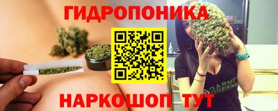 таблы Сланцы
