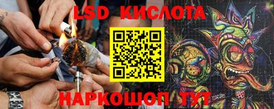 таблы Сланцы